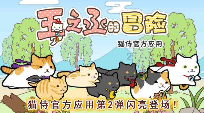 瑞丽医美(02135)授出购股权合共4863.05万股