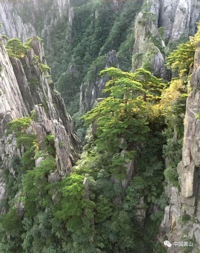 五彩斑斓的线